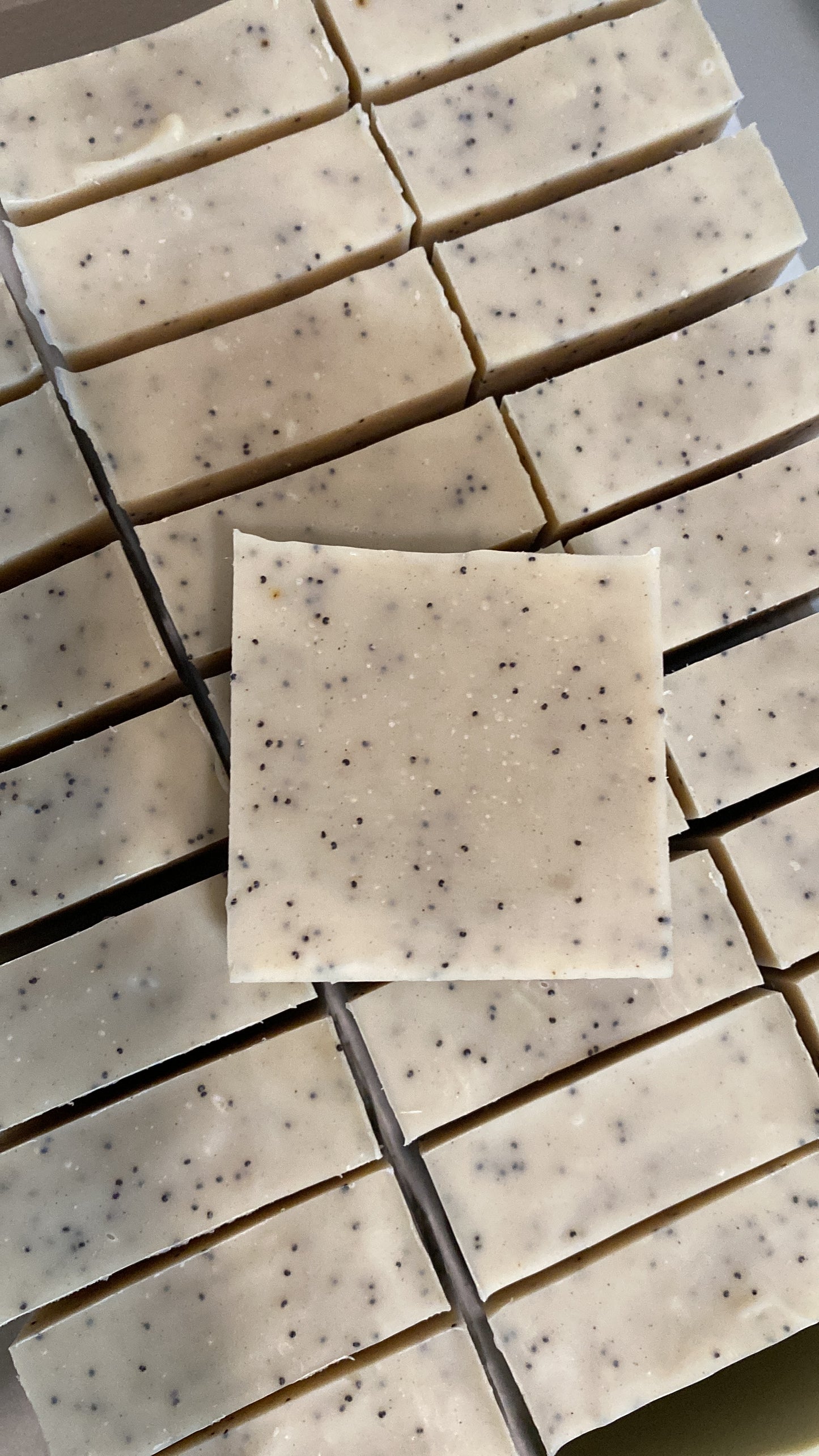 Ginger & Poppy Seed Body Bar